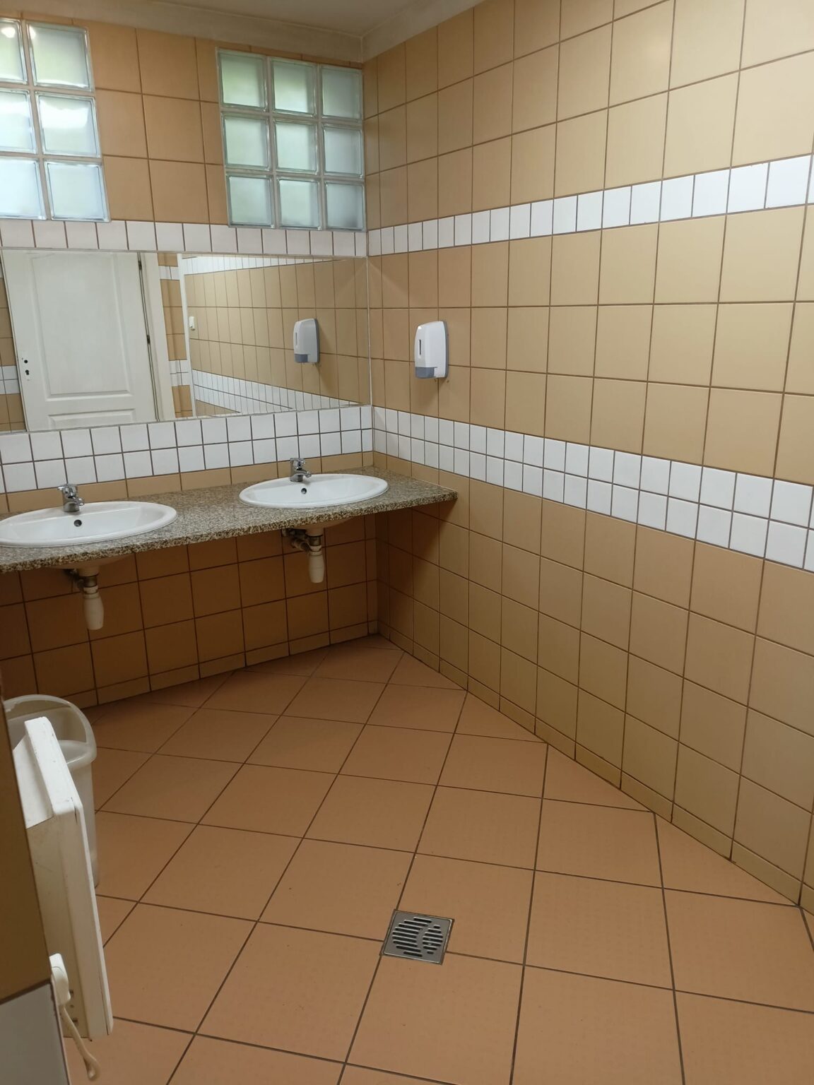 Public Toilets & Commonsense Urban Governance Pedestrian Space