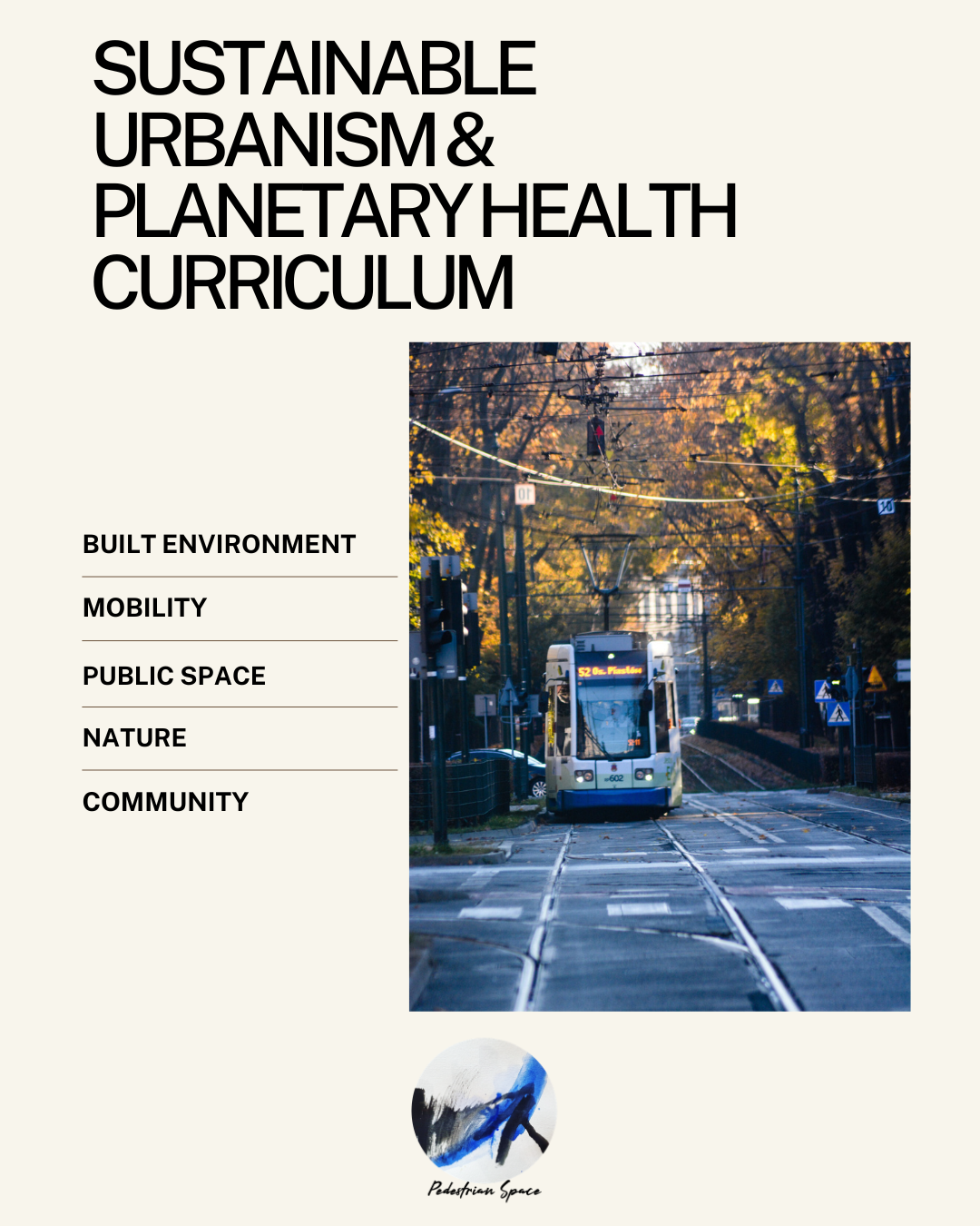 Mobility in Curriculum - Pedestrian Space